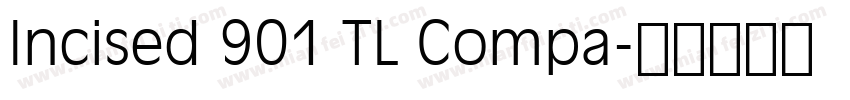 Incised 901 TL Compa字体转换